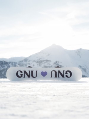 N Sticker Gnu Snowboard Sticker Decal – Skiing & Snowboarding